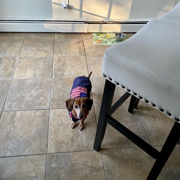 Hello👋Have confidence, I’m a Poshmark Ambassador. - Picture 10 of 17